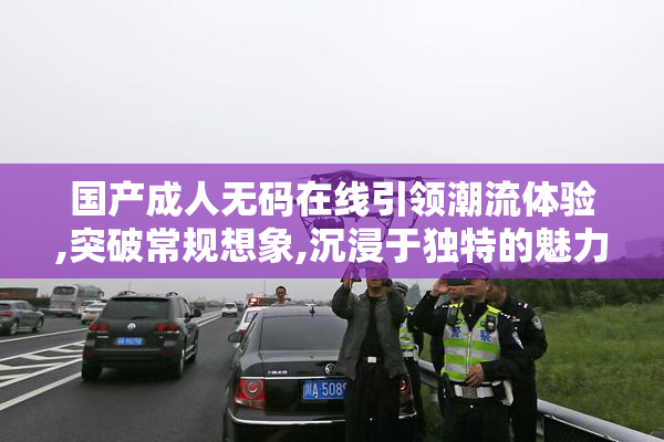 国产成人无码在线引领潮流体验,突破常规想象,沉浸于独特的魅力