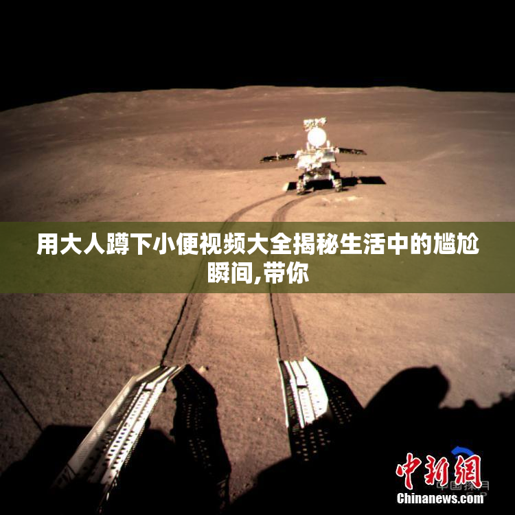 用大人蹲下小便视频大全揭秘生活中的尴尬瞬间,带你