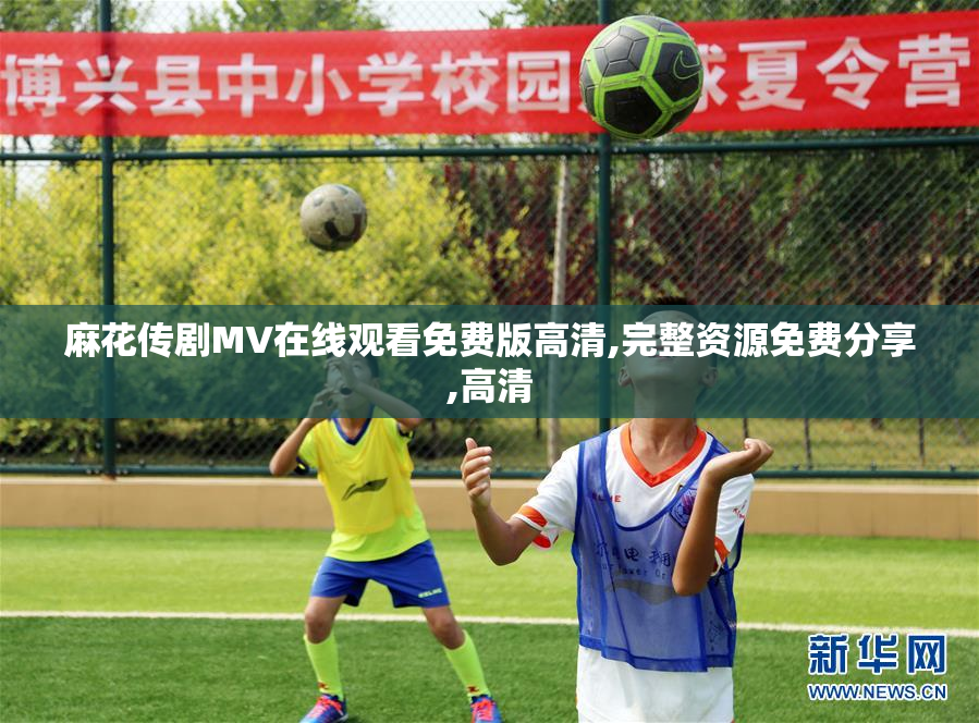 麻花传剧MV在线观看免费版高清,完整资源免费分享,高清