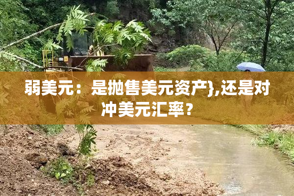 弱美元：是抛售美元资产},还是对冲美元汇率？