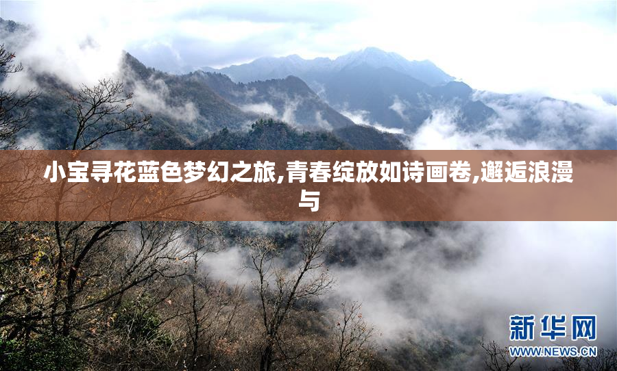 小宝寻花蓝色梦幻之旅,青春绽放如诗画卷,邂逅浪漫与