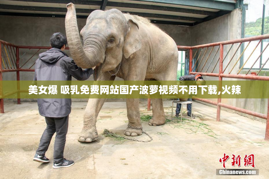 美女爆 吸乳免费网站国产波萝视频不用下载,火辣