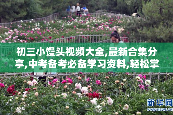初三小馒头视频大全,最新合集分享,中考备考必备学习资料,轻松掌握
