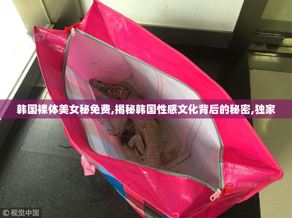 韩国裸体美女秘免费,揭秘韩国性感文化背后的秘密,独家