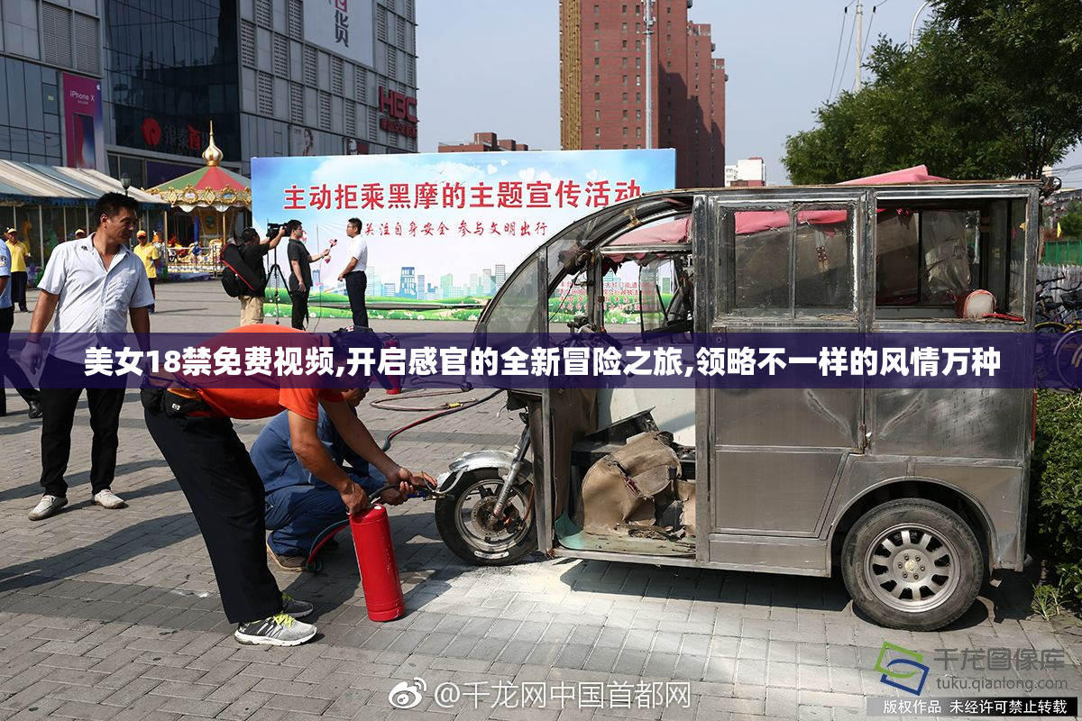 美女18禁免费视频,开启感官的全新冒险之旅,领略不一样的风情万种