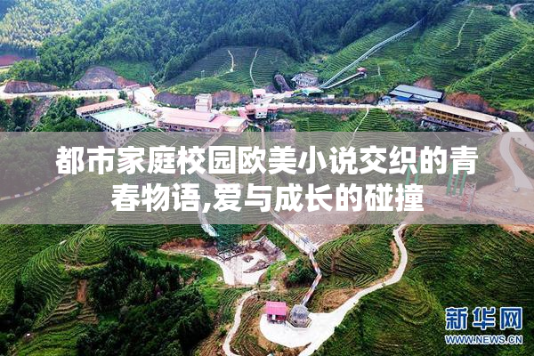 都市家庭校园欧美小说交织的青春物语,爱与成长的碰撞