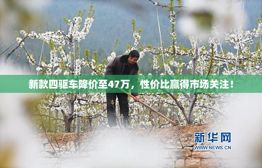 新款四驱车降价至47万，性价比赢得市场关注！