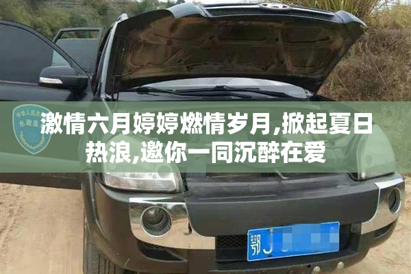 激情六月婷婷燃情岁月,掀起夏日热浪,邀你一同沉醉在爱