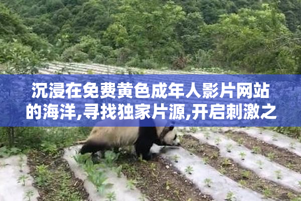 沉浸在免费黄色成年人影片网站的海洋,寻找独家片源,开启刺激之旅