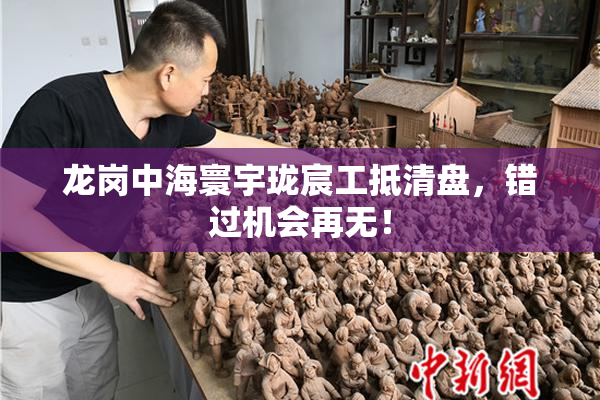龙岗中海寰宇珑宸工抵清盘，错过机会再无！