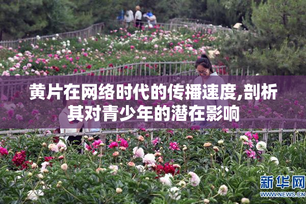 黄片在网络时代的传播速度,剖析其对青少年的潜在影响