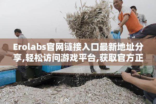 Erolabs官网链接入口最新地址分享,轻松访问游戏平台,获取官方正版