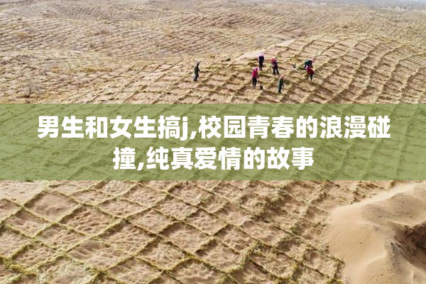 男生和女生搞j,校园青春的浪漫碰撞,纯真爱情的故事