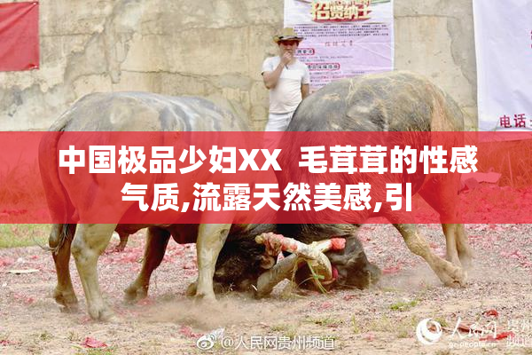 中国极品少妇XX  毛茸茸的性感气质,流露天然美感,引