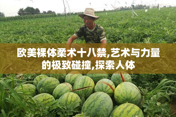 欧美裸体柔术十八禁,艺术与力量的极致碰撞,探索人体