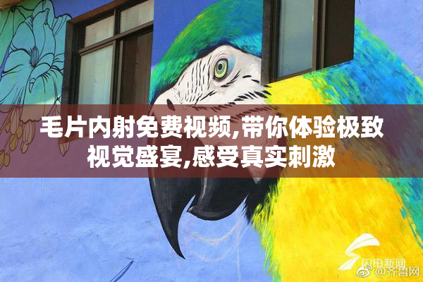 毛片内射免费视频,带你体验极致视觉盛宴,感受真实刺激
