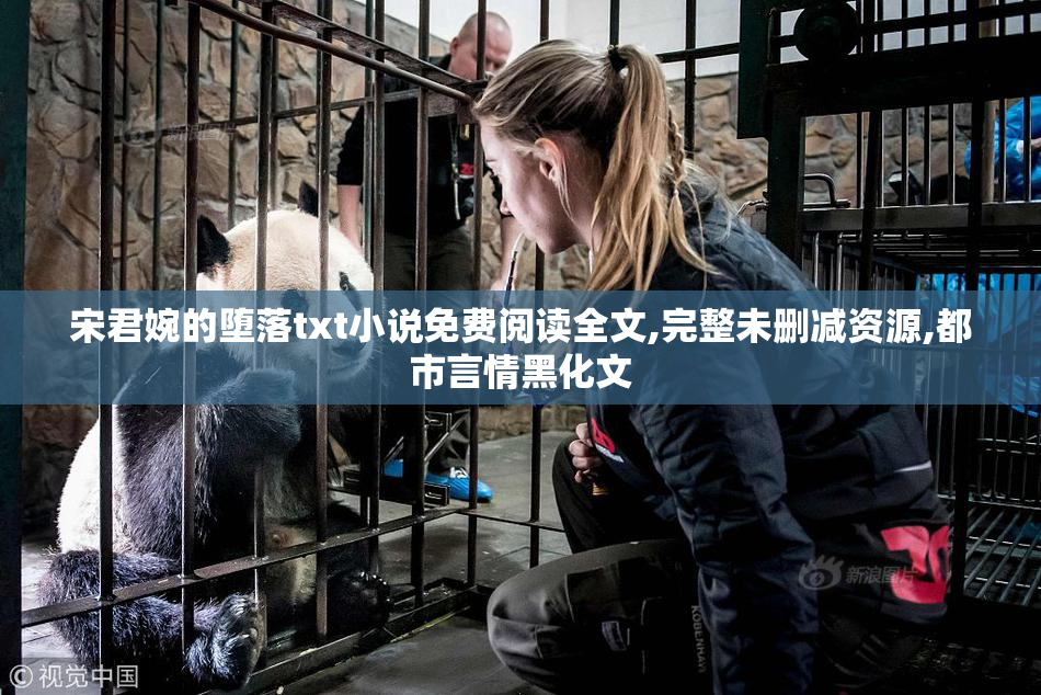 宋君婉的堕落txt小说免费阅读全文,完整未删减资源,都市言情黑化文