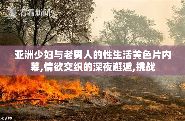 亚洲少妇与老男人的性生活黄色片内幕,情欲交织的深夜邂逅,挑战