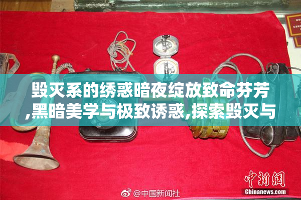 毁灭系的绣惑暗夜绽放致命芬芳,黑暗美学与极致诱惑,探索毁灭与