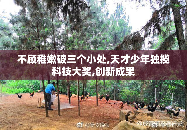 不顾稚嫩破三个小处,天才少年独揽科技大奖,创新成果