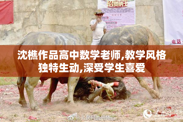 沈樵作品高中数学老师,教学风格独特生动,深受学生喜爱