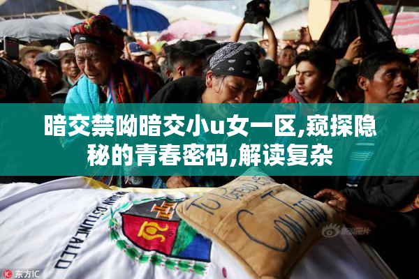 暗交禁呦暗交小u女一区,窥探隐秘的青春密码,解读复杂