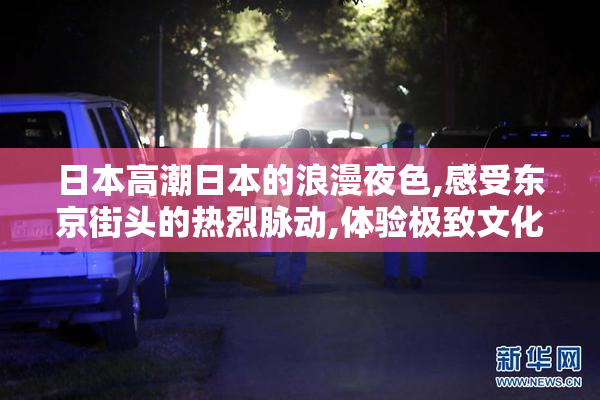 日本高潮日本的浪漫夜色,感受东京街头的热烈脉动,体验极致文化