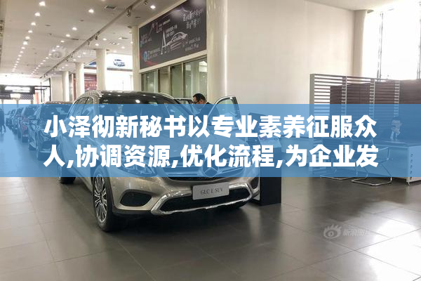 小泽彻新秘书以专业素养征服众人,协调资源,优化流程,为企业发展