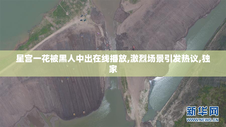 星宫一花被黑人中出在线播放,激烈场景引发热议,独家