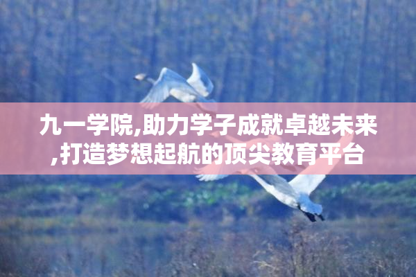 九一学院,助力学子成就卓越未来,打造梦想起航的顶尖教育平台
