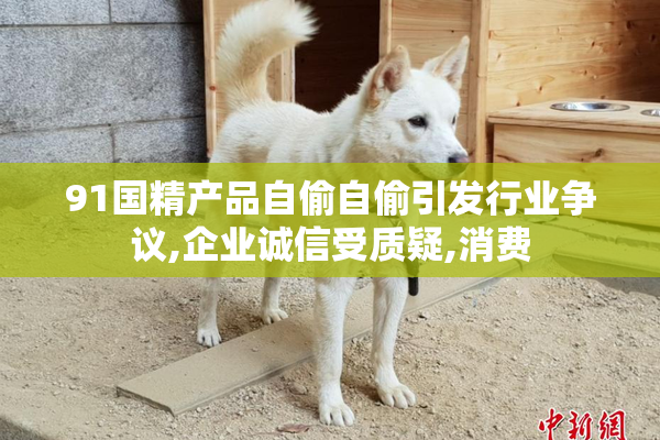 91国精产品自偷自偷引发行业争议,企业诚信受质疑,消费