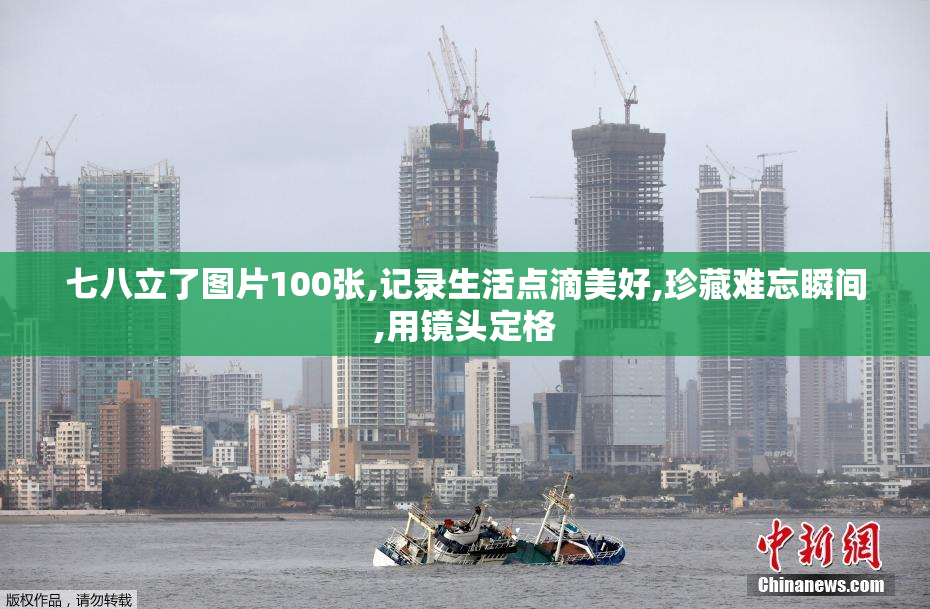 七八立了图片100张,记录生活点滴美好,珍藏难忘瞬间,用镜头定格