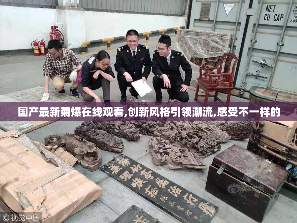 国产最新菊爆在线观看,创新风格引领潮流,感受不一样的