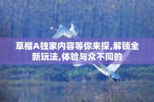 草榴A独家内容等你来探,解锁全新玩法,体验与众不同的