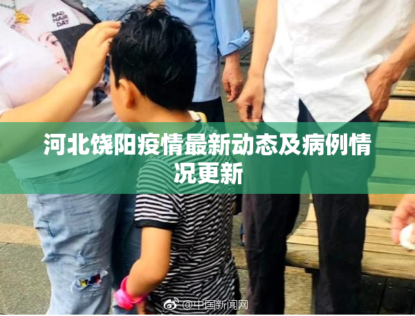 河北饶阳疫情最新动态及病例情况更新