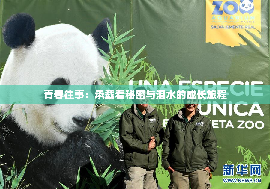 青春往事：承载着秘密与泪水的成长旅程
