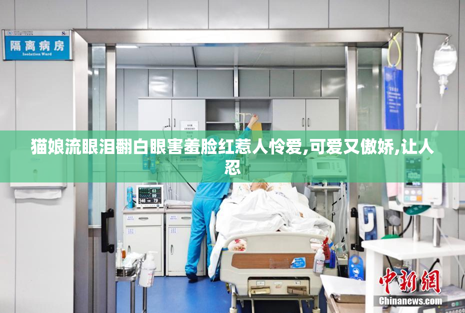 猫娘流眼泪翻白眼害羞脸红惹人怜爱,可爱又傲娇,让人忍