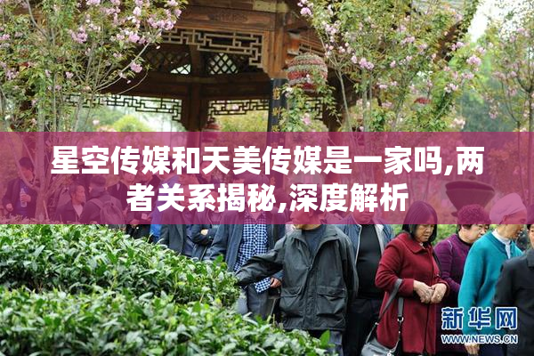 星空传媒和天美传媒是一家吗,两者关系揭秘,深度解析