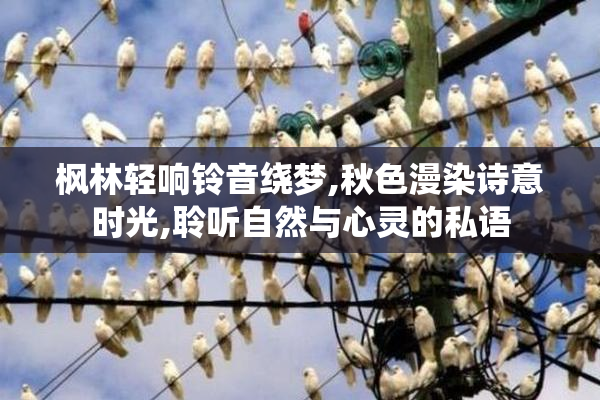 枫林轻响铃音绕梦,秋色漫染诗意时光,聆听自然与心灵的私语
