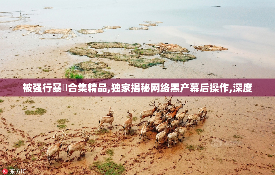 被强行暴奷合集精品,独家揭秘网络黑产幕后操作,深度