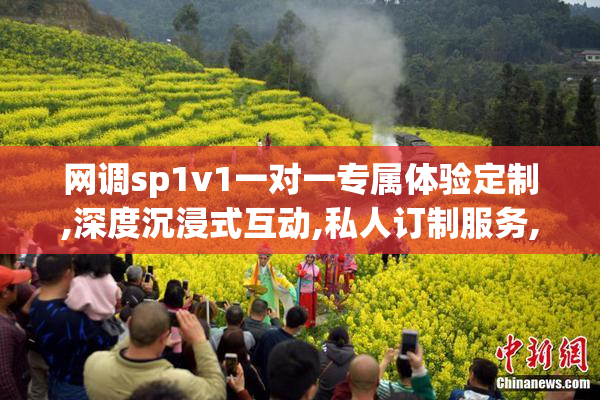 网调sp1v1一对一专属体验定制,深度沉浸式互动,私人订制服务,满足