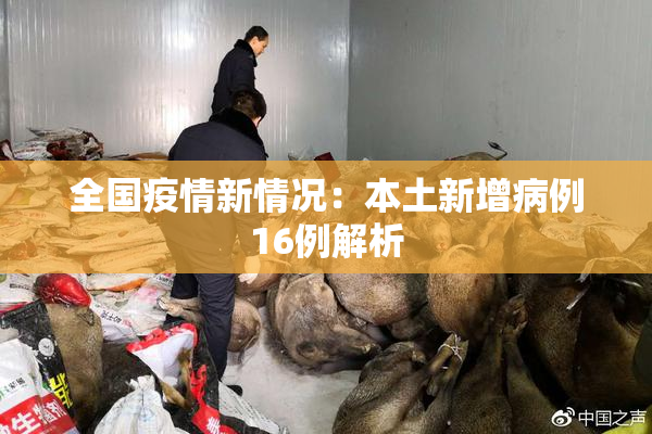 全国疫情新情况：本土新增病例16例解析