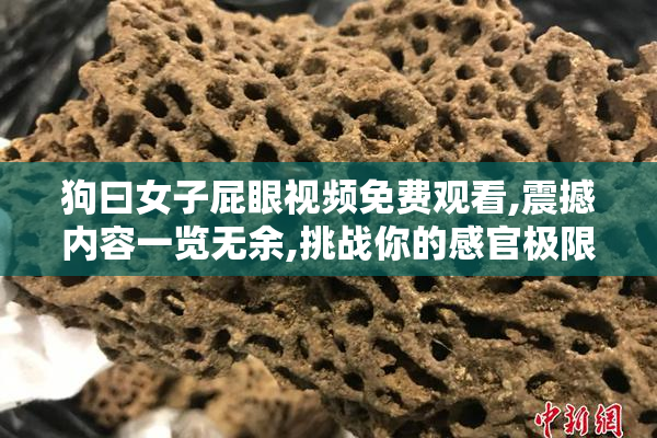 狗曰女子屁眼视频免费观看,震撼内容一览无余,挑战你的感官极限,速