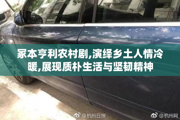 冢本亨利农村剧,演绎乡土人情冷暖,展现质朴生活与坚韧精神
