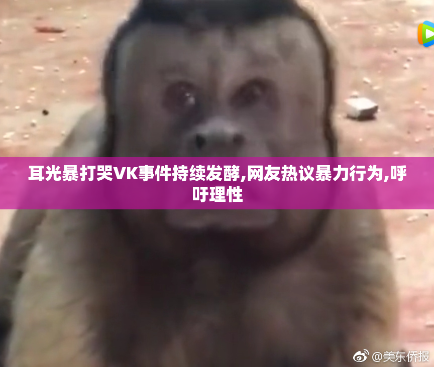 耳光暴打哭VK事件持续发酵,网友热议暴力行为,呼吁理性