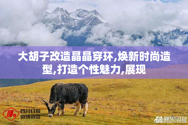 大胡子改造晶晶穿环,焕新时尚造型,打造个性魅力,展现