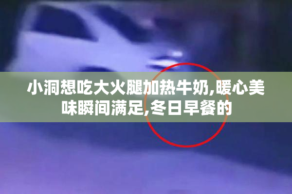 小洞想吃大火腿加热牛奶,暖心美味瞬间满足,冬日早餐的