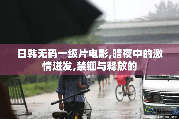 日韩无码一级片电影,暗夜中的激情迸发,禁锢与释放的