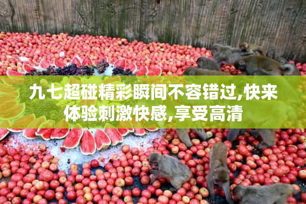九七超碰精彩瞬间不容错过,快来体验刺激快感,享受高清