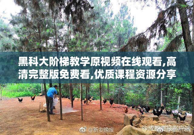 黑科大阶梯教学原视频在线观看,高清完整版免费看,优质课程资源分享